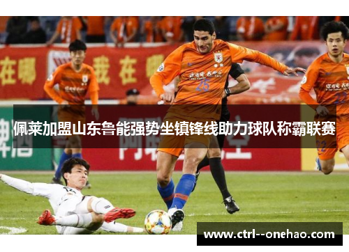佩莱加盟山东鲁能强势坐镇锋线助力球队称霸联赛 佩莱加盟山东鲁能强势坐镇锋线助力球队称霸联赛